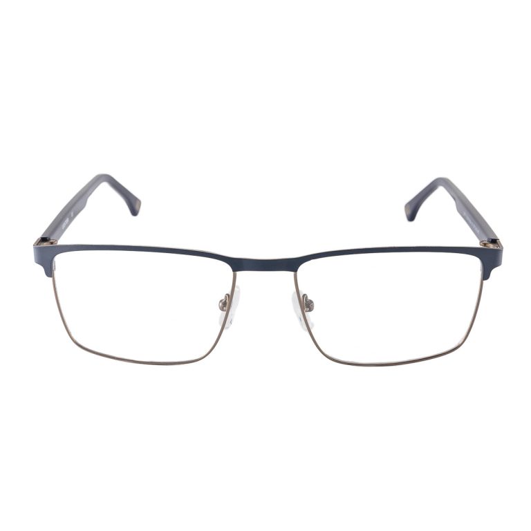 Lester LES030054